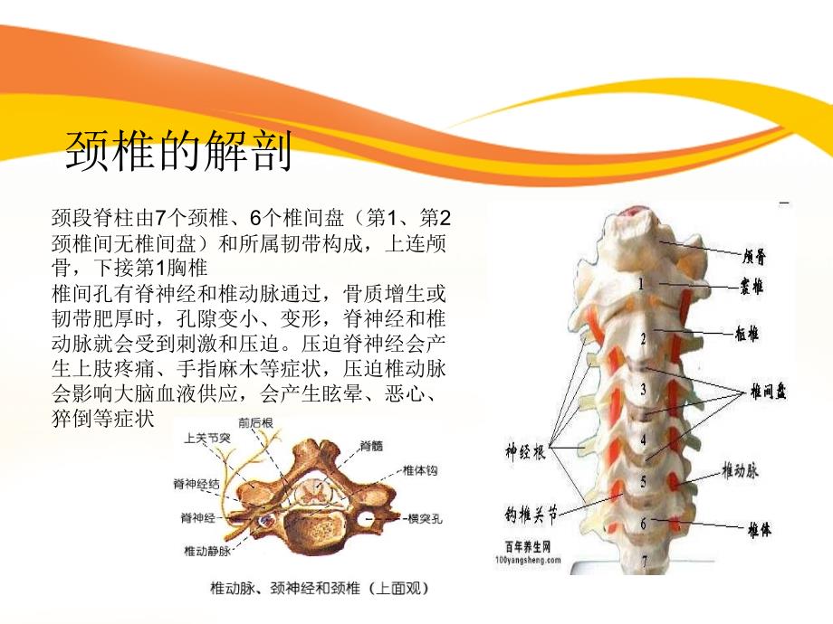 2016-10颈椎病护理_第3页