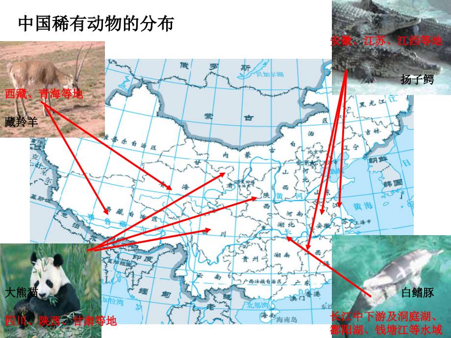 六年级上册科学课件-第四单元2校园生物分布图教科版_第4页