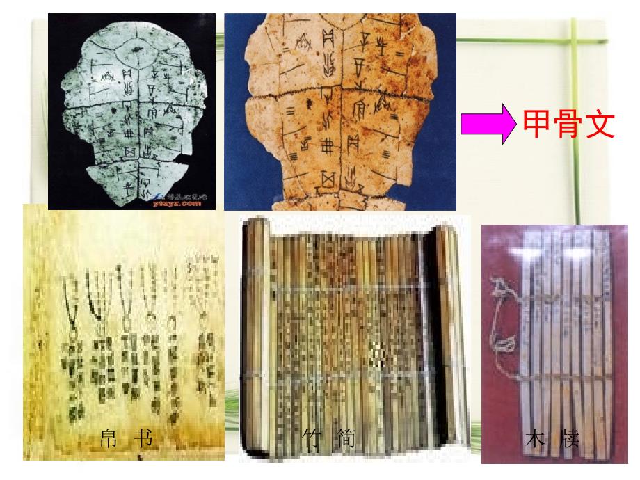 五年级科学15纸_第3页