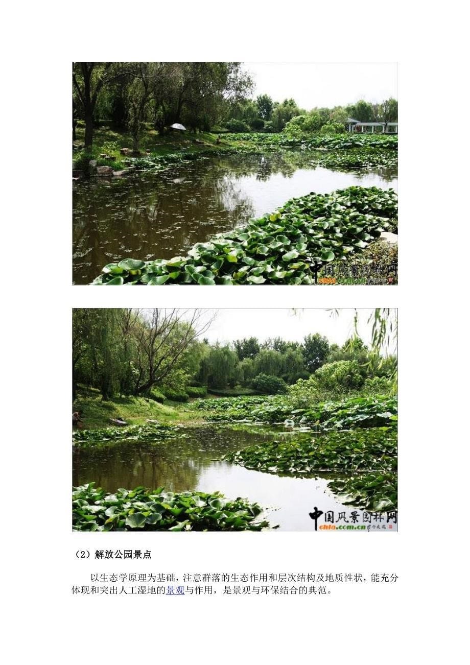水生湿地植物的配置及应用汇总._第5页