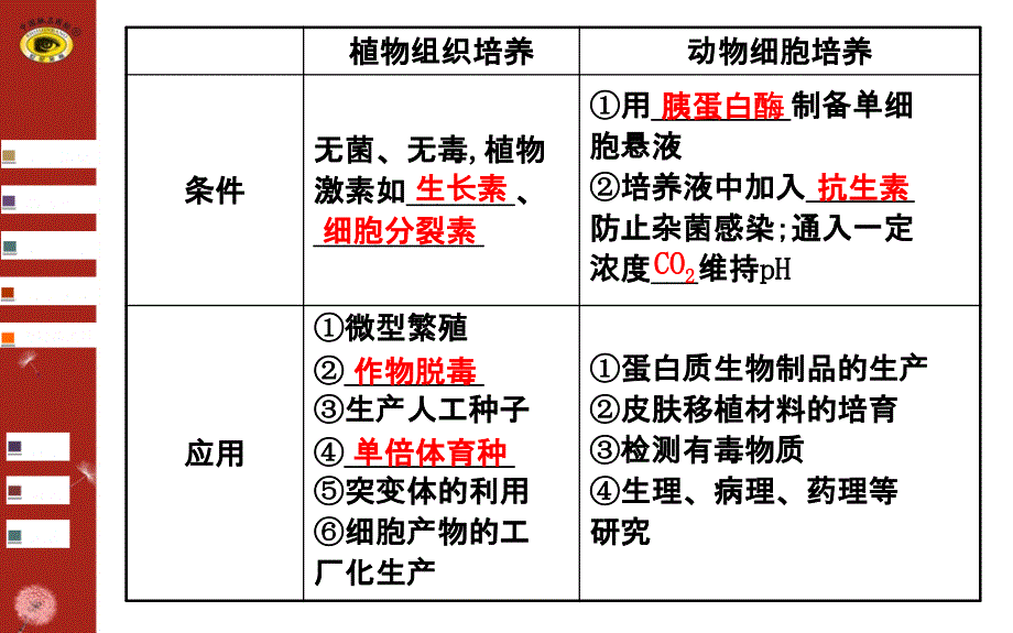 专题九第2讲细胞工程_第3页