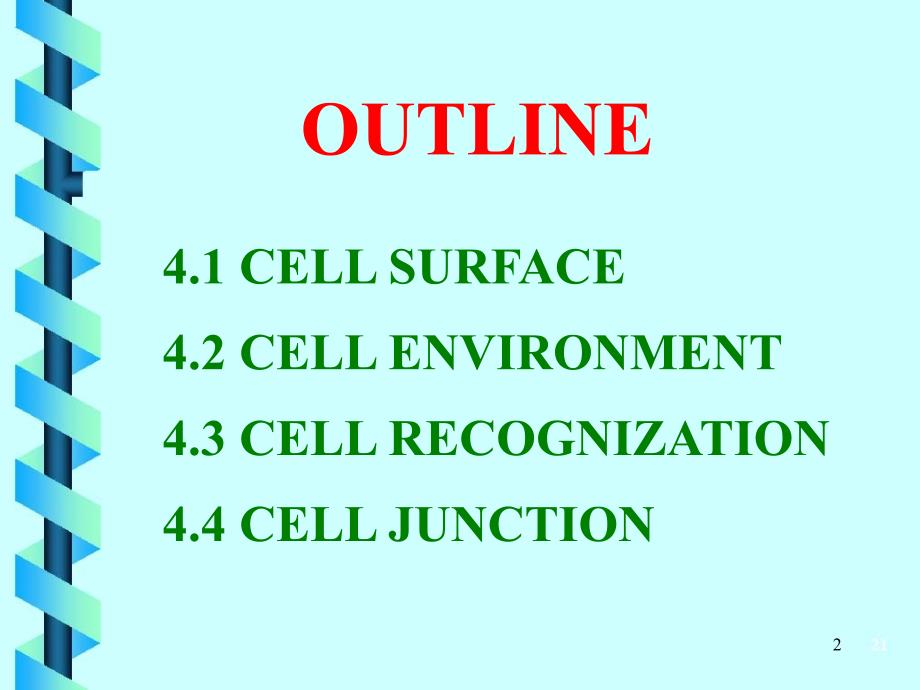 细胞生物学5-1第四章A细胞环境与互作-授课课件_第2页