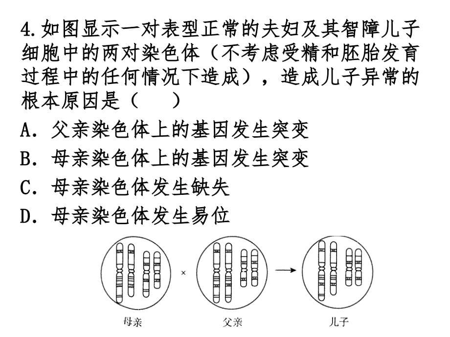 2015年生物高考试题汇编·变异与育种_第5页