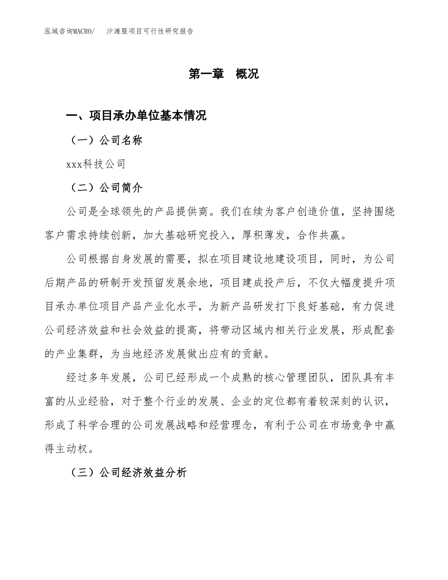 沙滩服项目可行性研究报告（总投资12000万元）（57亩）_第3页