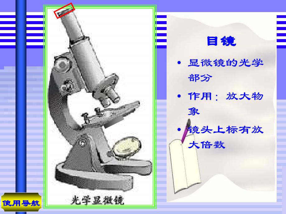 七年级科学ppt课件-显微镜的结构与使用2_第3页