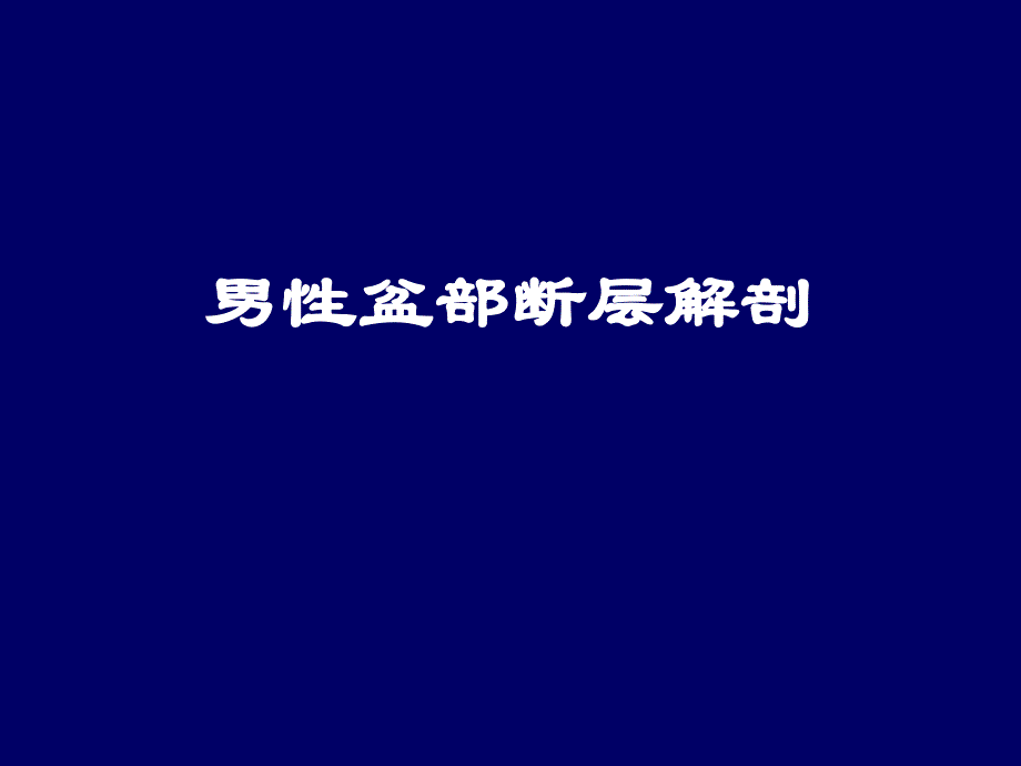 男性盆部断层解剖汇总._第1页