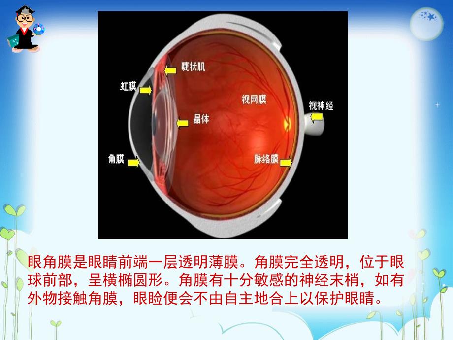 人教版四年级下册18.永生的眼睛(三疑三探)_第2页