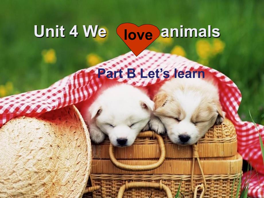 英语人教版本三年级上册unit 4 b let's learn_第1页