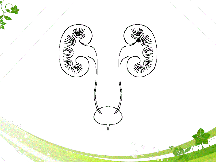 泌尿系结石健康教育课件_第3页