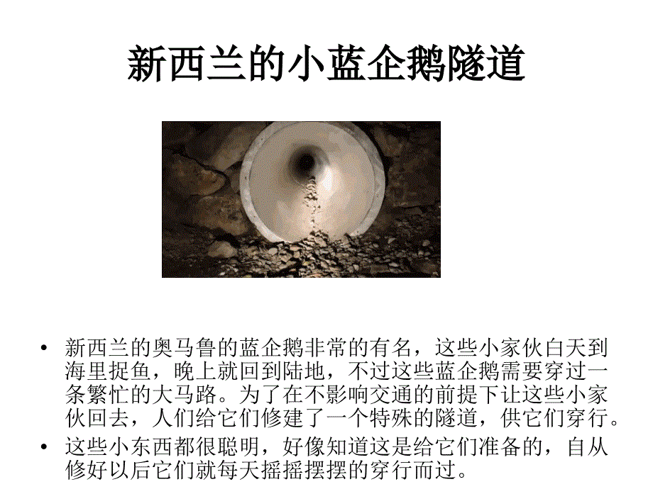 为动物修建的生命桥_第2页