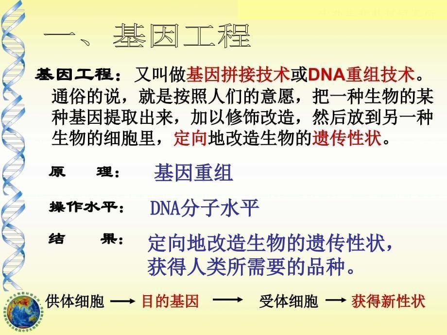 六.21基因工程及其应用_第5页