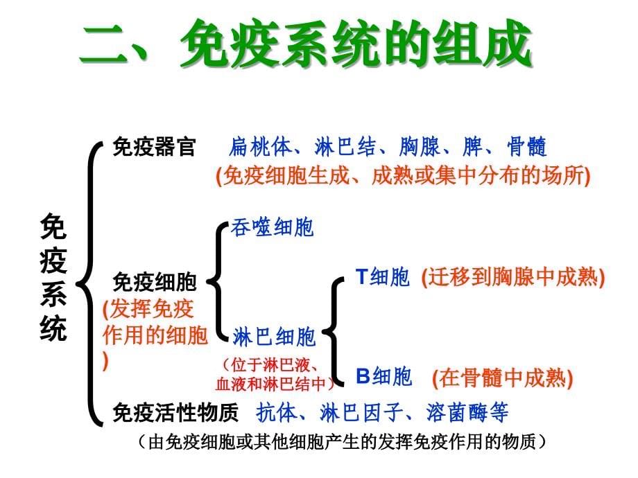 上课用2.4免疫调节_第5页