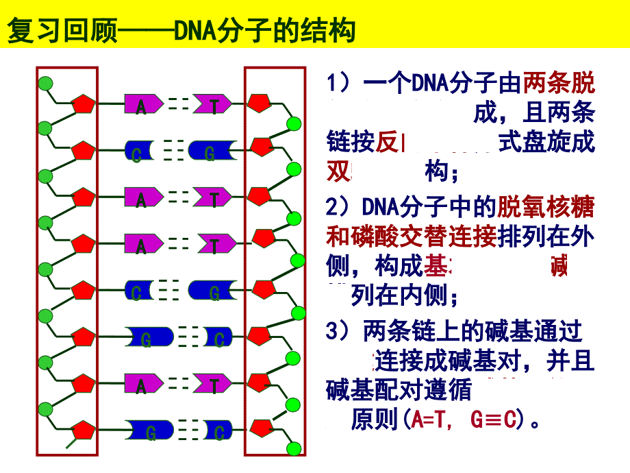 种群数量的变化（基因突变与基因重组）_第2页