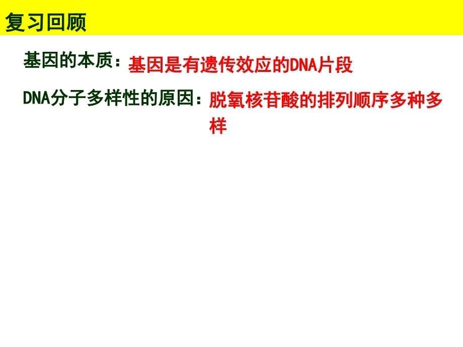 种群数量的变化（基因突变与基因重组）_第5页