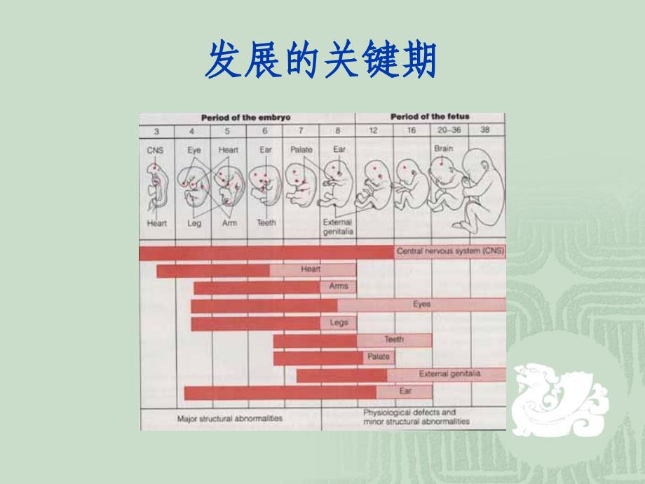 儿童心理发展关键期研究_第2页