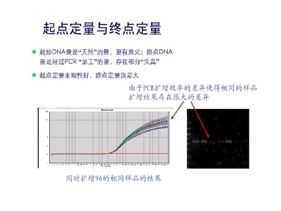 fq-pcr技术的原理及应用_第5页