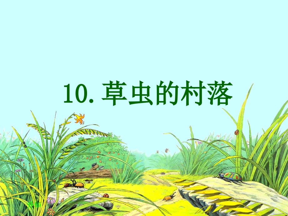 五年级下册语文课件-课文10《草虫的村落》语文s版_第1页