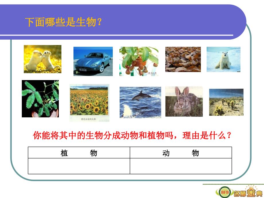 七下科学2.1生物与非生物(2)本._第3页