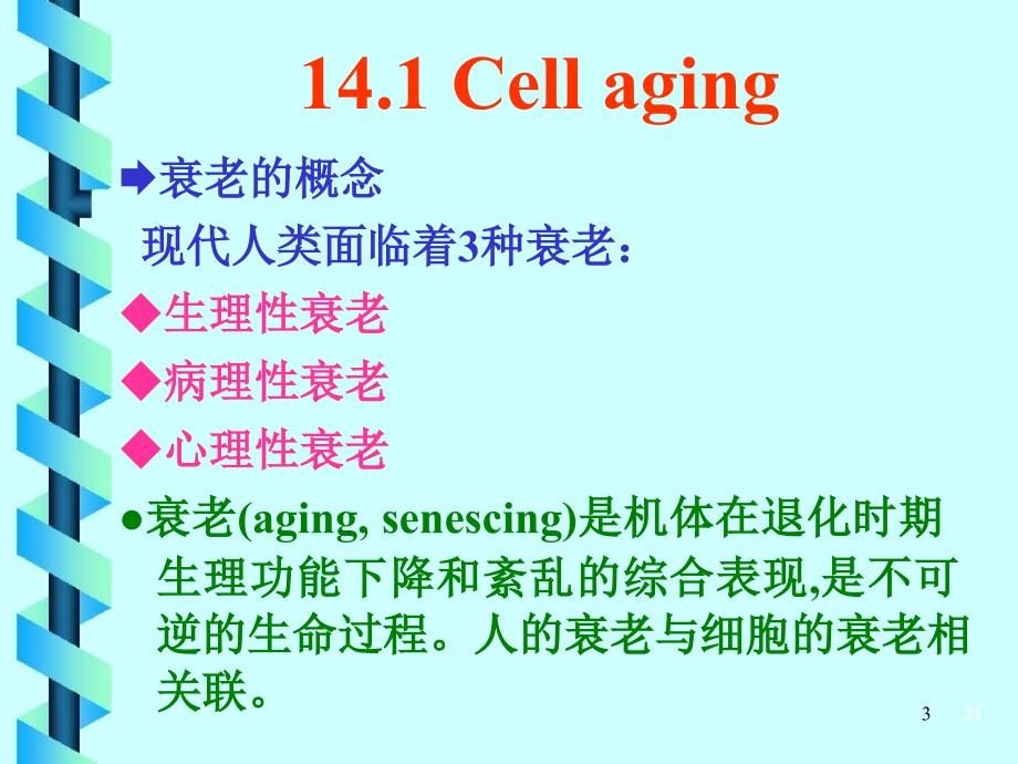 细胞生物学210-15-1第十四章： 细胞衰老、死亡与癌变_第3页