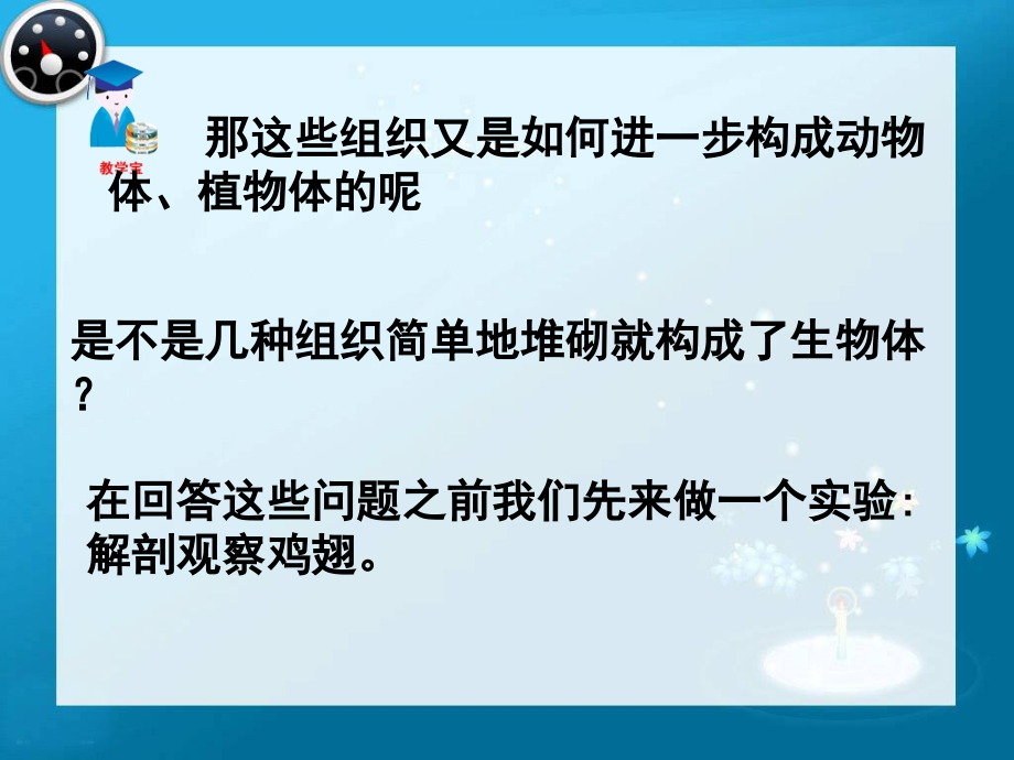 北师大版七年级上册第四章第二节生物体的器官、系统(共51张ppt)._第4页