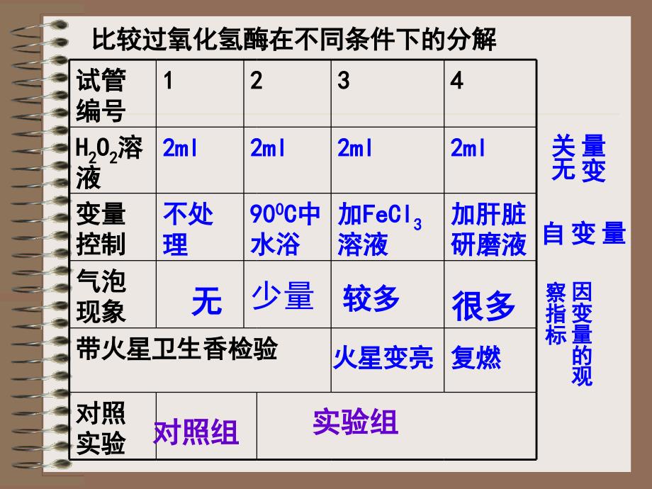 《降低化学反应活化能的》_第4页