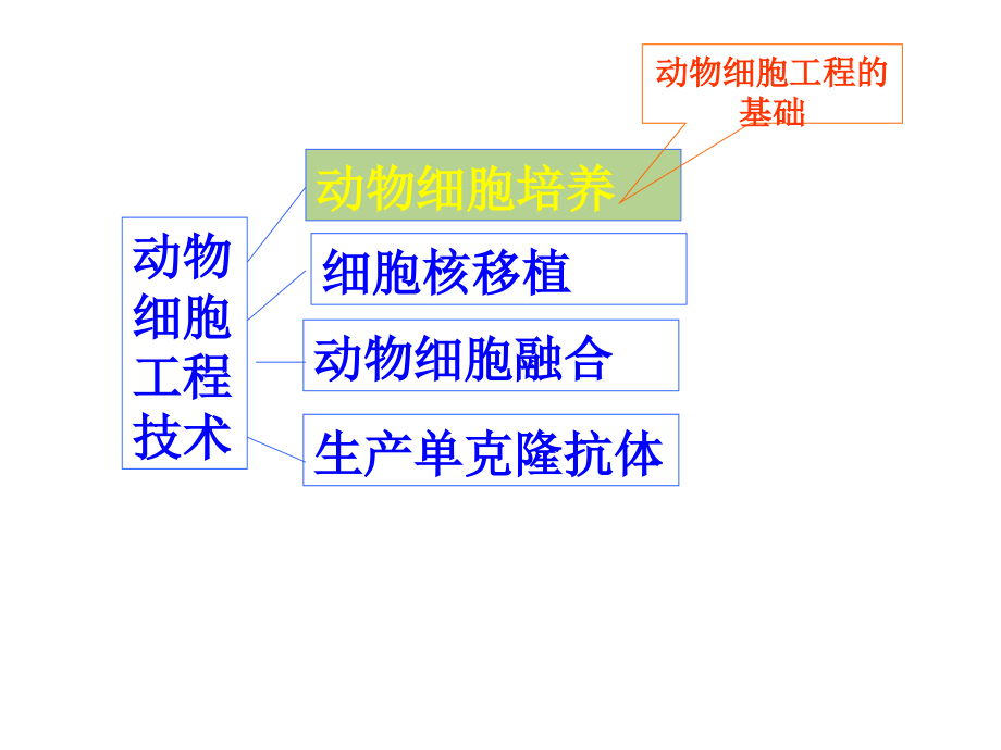 动物细胞工程ppt汇总._第2页