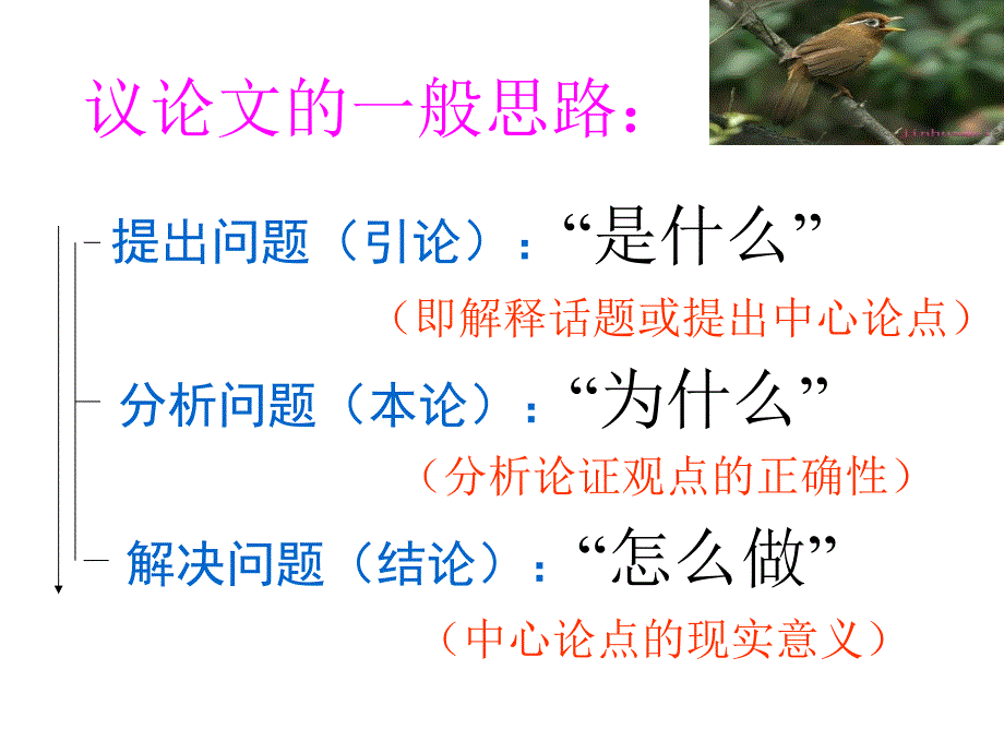 学而有章,事半功倍--议论文结构_第2页