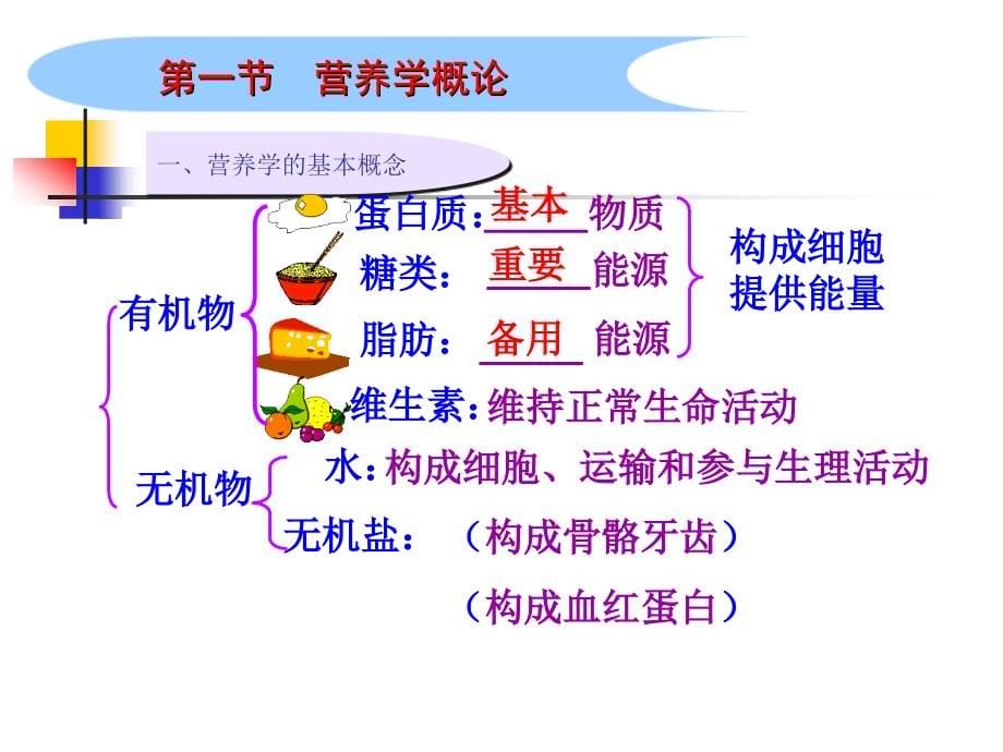 公共营养师课件第三章营养学基础_第5页