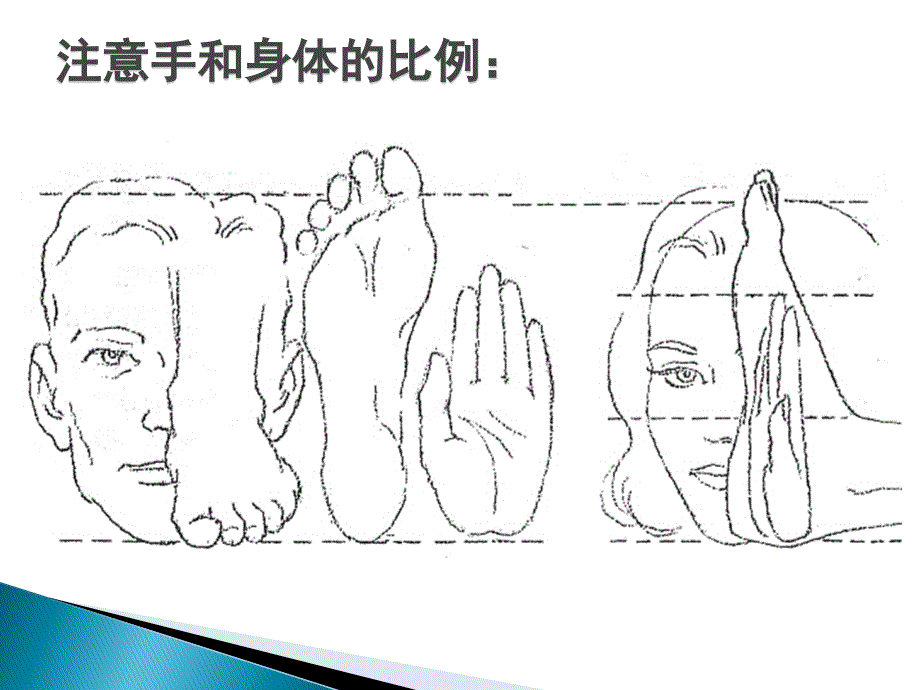 《动画造型设计》动画造型设计手足_第3页