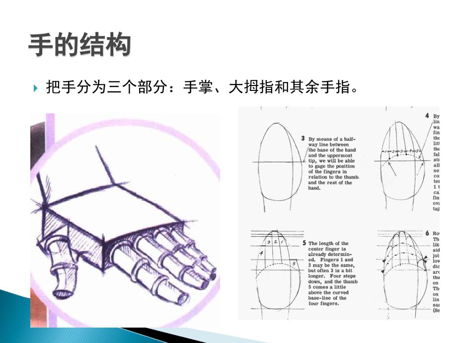 《动画造型设计》动画造型设计手足_第4页