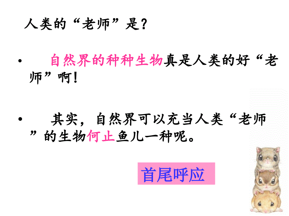 四年级下册语文课件 -课文7《人类的老师》苏教版_第3页