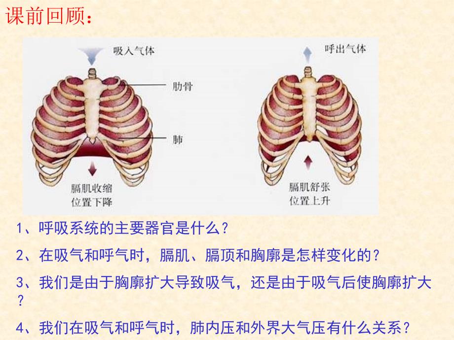 七年级生物发生在肺内的气体交换2._第2页