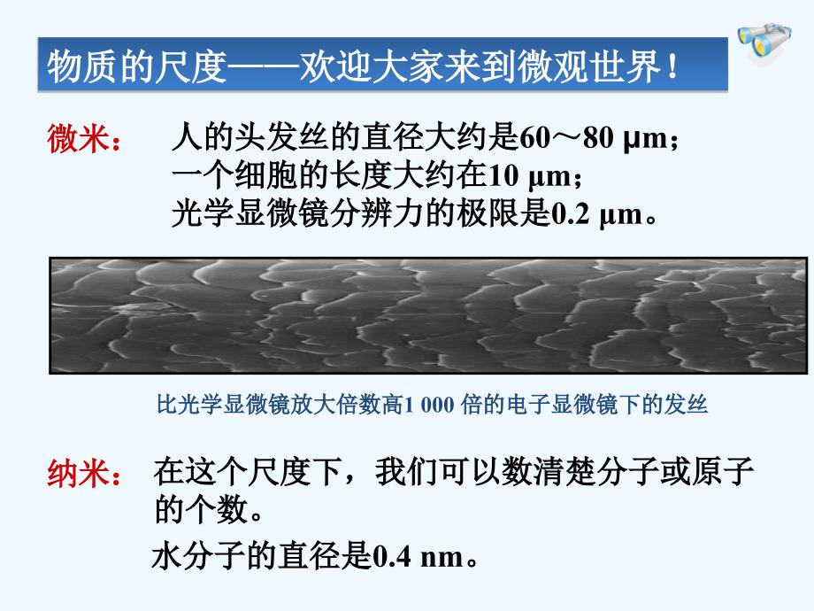 物理九年级全册分子热运动.1分子热运动_第4页