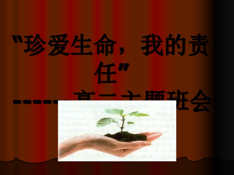 “珍爱生命-我的责任”主题班会_第1页