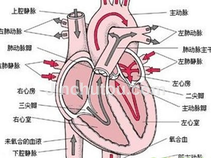 先心病概述与术后监护_第5页