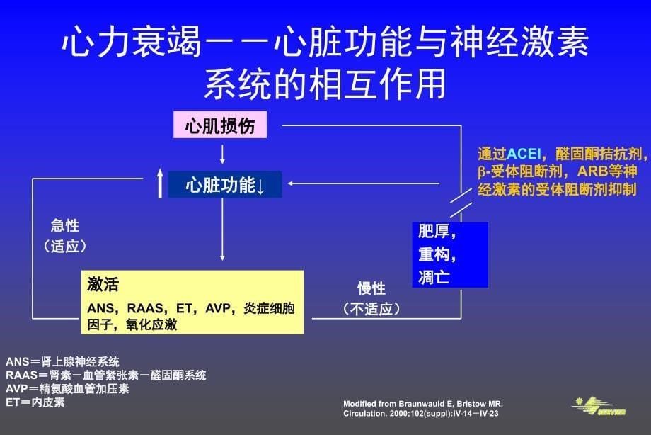 acei治疗--从高血压至心力衰竭_第5页