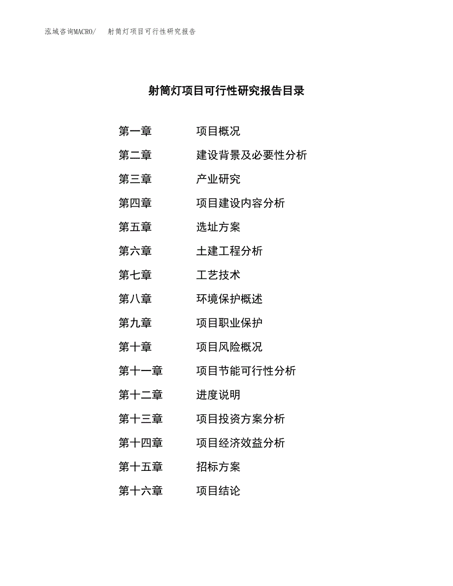 射筒灯项目可行性研究报告（总投资17000万元）（87亩）_第2页