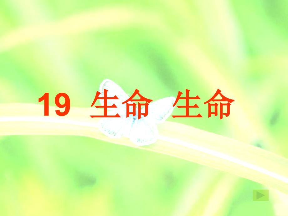 语文四年级下册19生命 生命_第2页