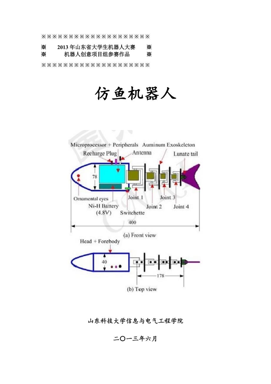 仿鱼机器人_第1页