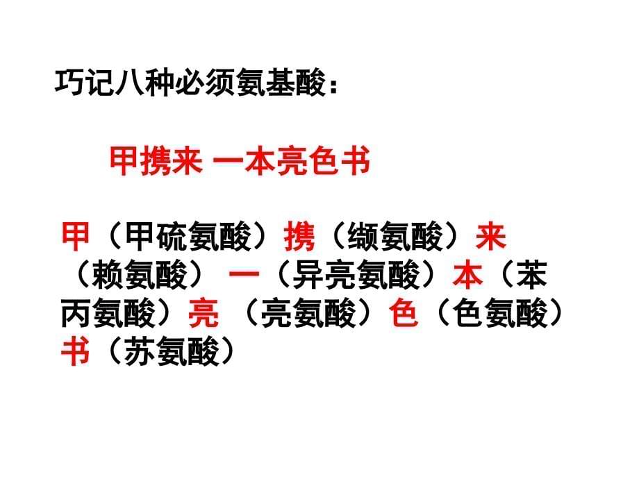 一轮复习第二章蛋白质、核酸._第5页