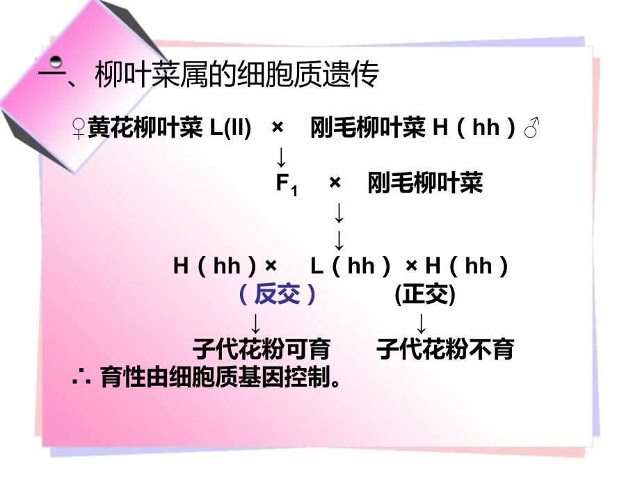 第5章 细胞质遗传_第4页