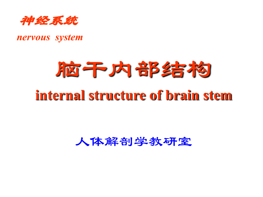 脑干内部结构剖析_第1页