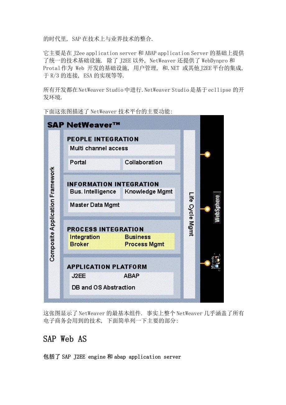 sap发展历史与技术介绍剖析_第5页