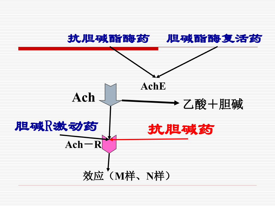 《药理学》抗胆碱药_第2页