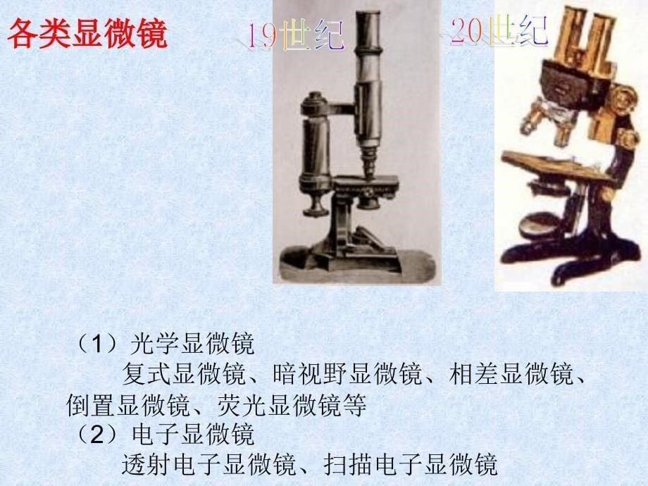 2016新人教版七年级生物上册_第二单元_第一章_第一节_练习使用显微镜剖析_第5页