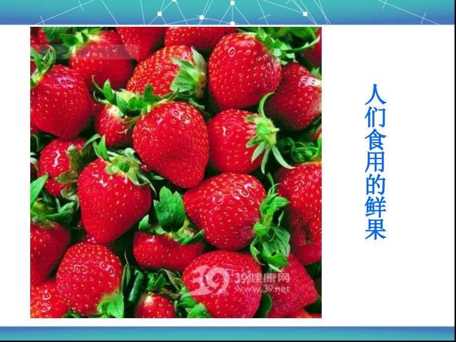 草莓栽培管理技术汇总._第5页