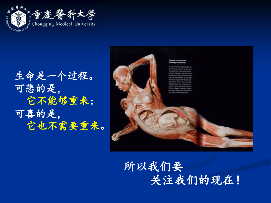 1、女性生殖系统生理模版剖析_第3页