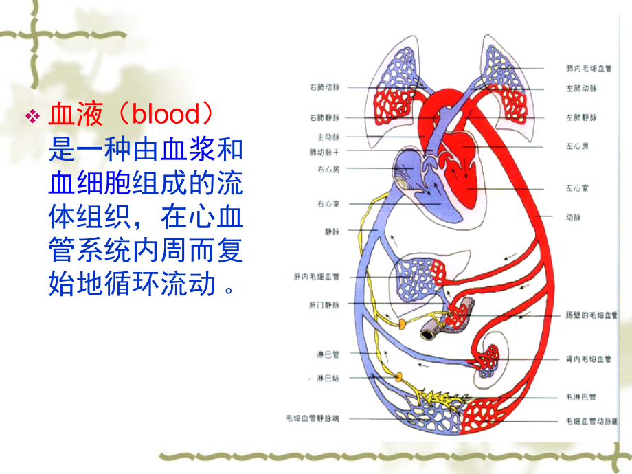 第二章血液汇总._第2页