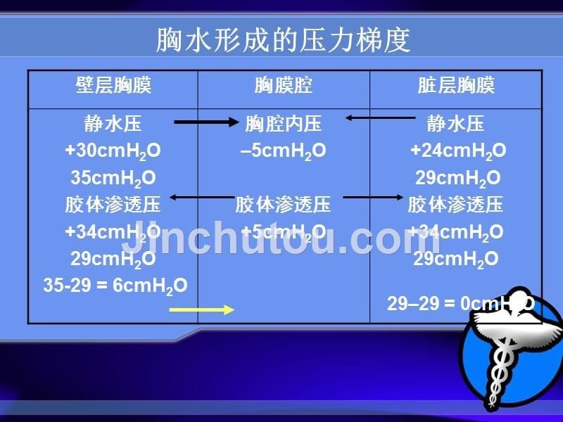 胸膜疾病的诊断_第5页