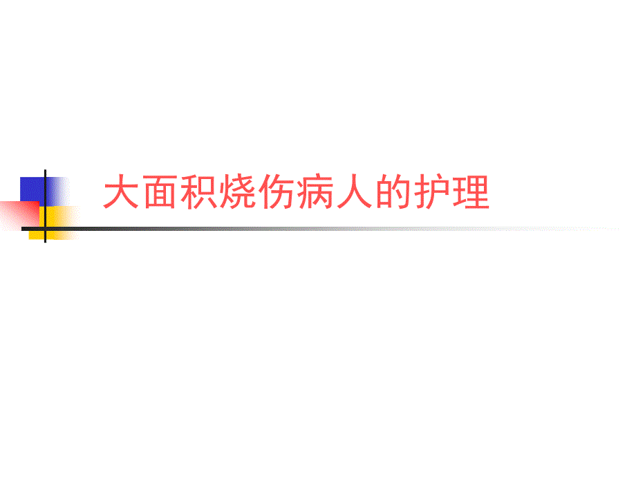 大面积烧伤病人的护理幻灯片剖析_第2页